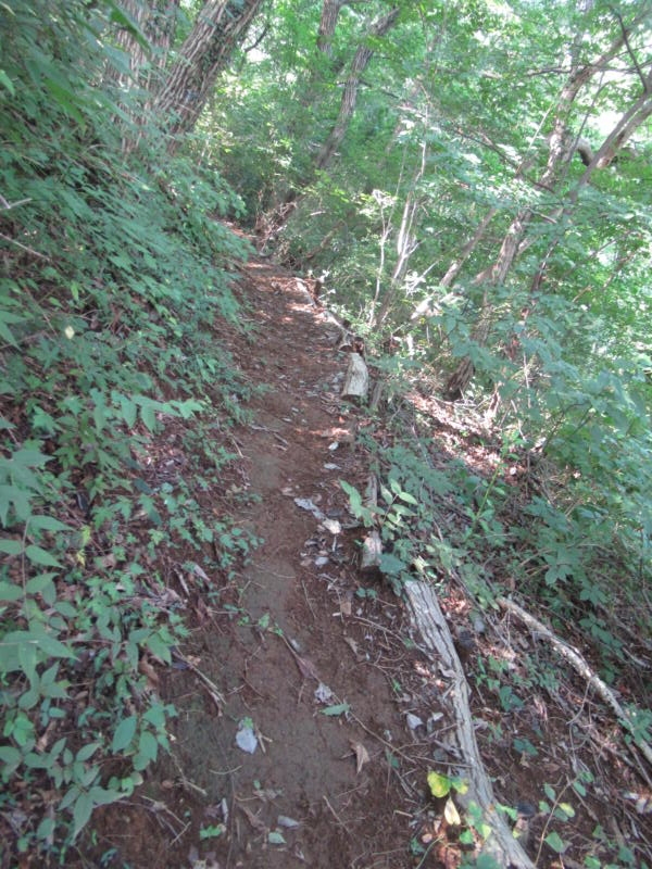 f:id:itablog:20200908104213j:plain