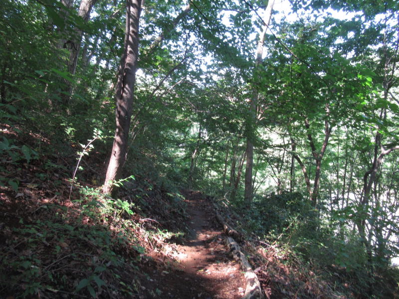 f:id:itablog:20200908104248j:plain