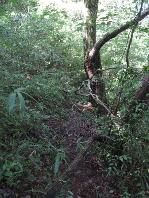 f:id:itablog:20200908104607j:plain