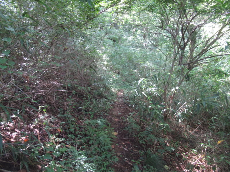 f:id:itablog:20200908104628j:plain