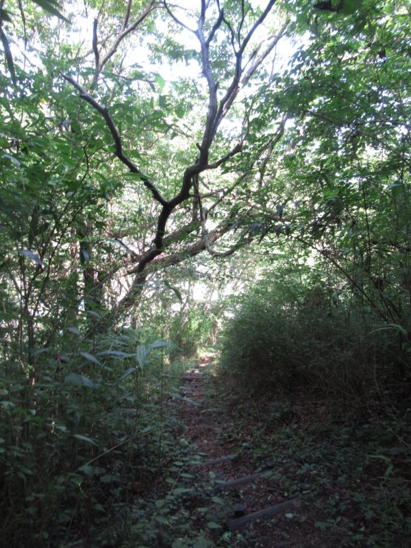 f:id:itablog:20200908104643j:plain