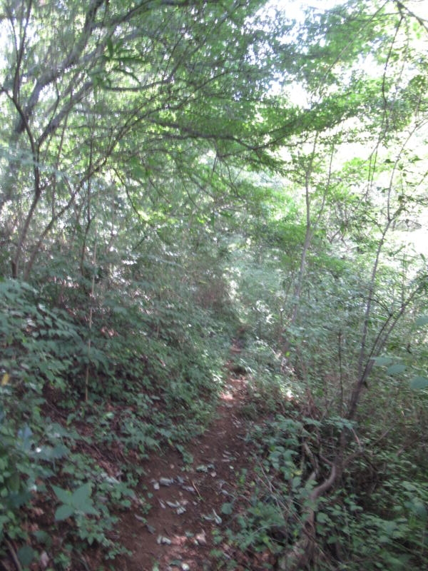 f:id:itablog:20200908104650j:plain