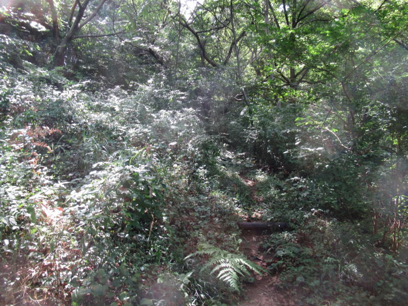 f:id:itablog:20200908104740j:plain