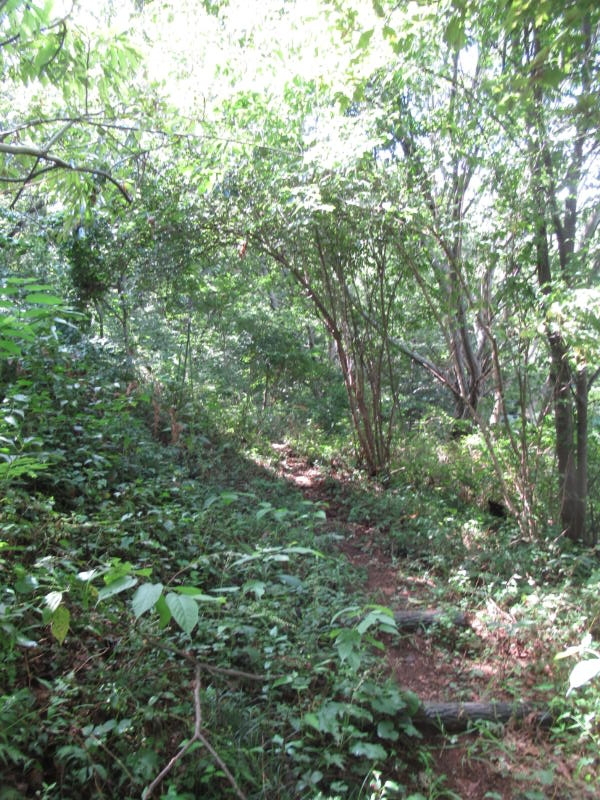 f:id:itablog:20200908104759j:plain