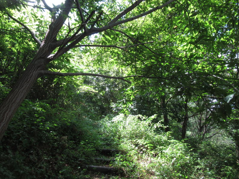 f:id:itablog:20200908104932j:plain