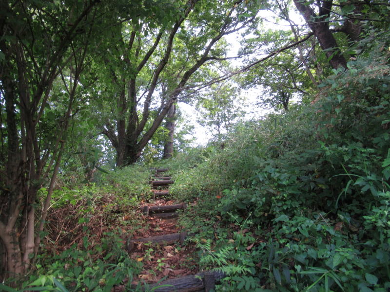 f:id:itablog:20200908105109j:plain