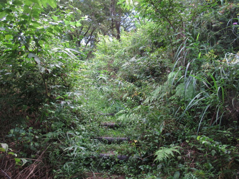 f:id:itablog:20200908110546j:plain