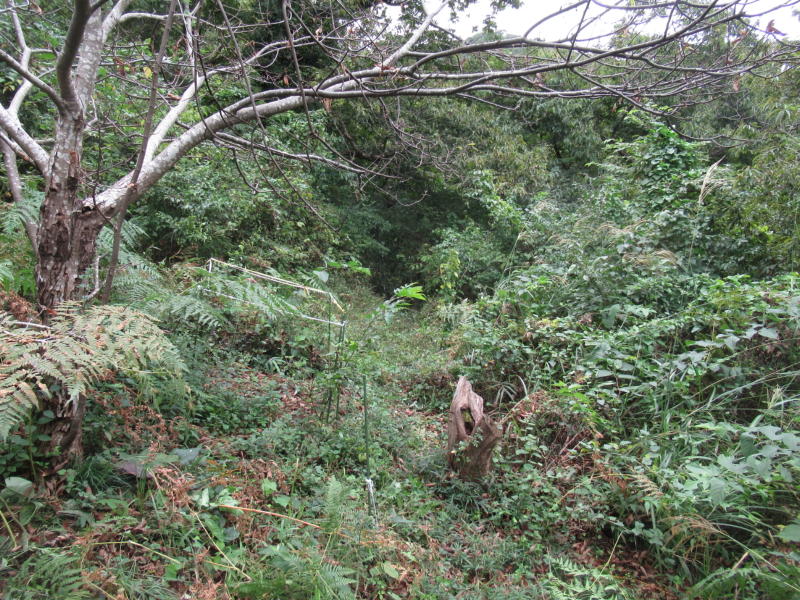 f:id:itablog:20200929122927j:plain