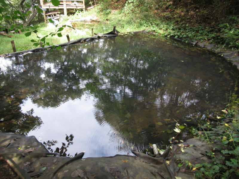 f:id:itablog:20201013114818j:plain