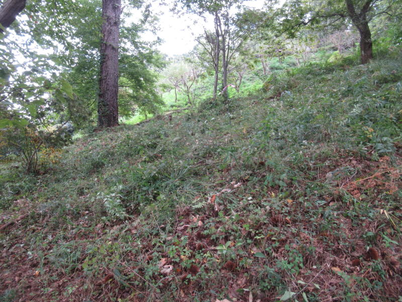 f:id:itablog:20201013122101j:plain