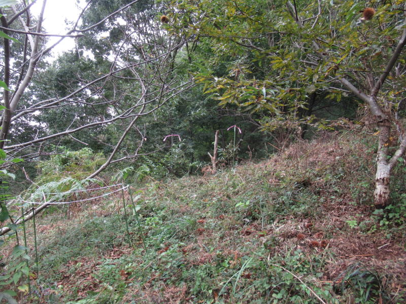 f:id:itablog:20201013122906j:plain