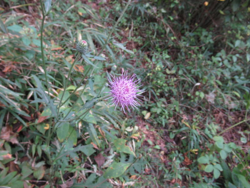 f:id:itablog:20201013123922j:plain