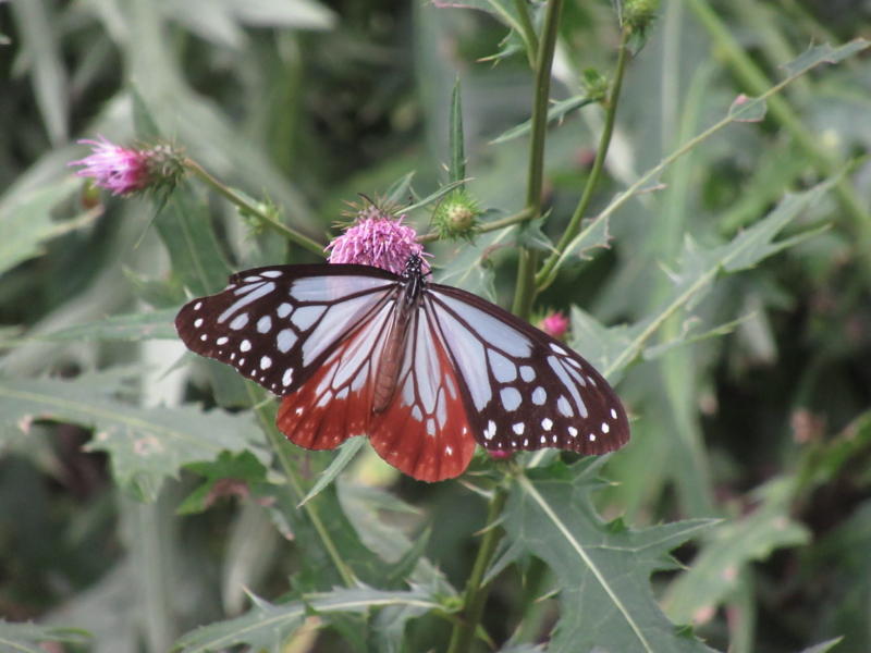 f:id:itablog:20201013124204j:plain