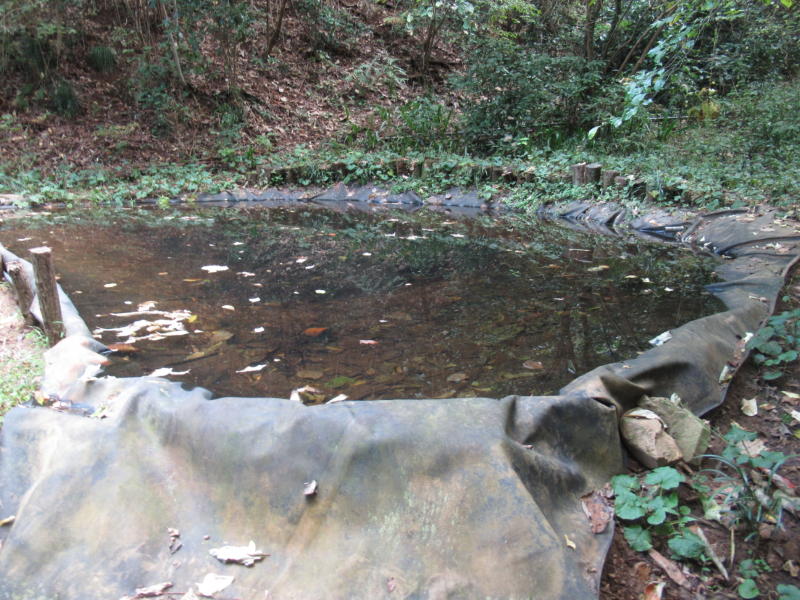 f:id:itablog:20201027101643j:plain