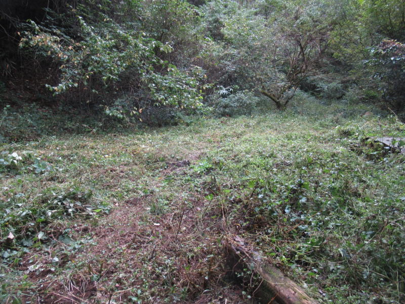 f:id:itablog:20201027112339j:plain