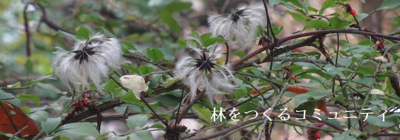 f:id:itablog:20201107105549j:plain