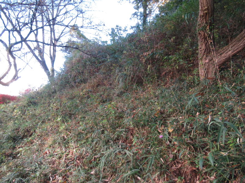 f:id:itablog:20201110100530j:plain