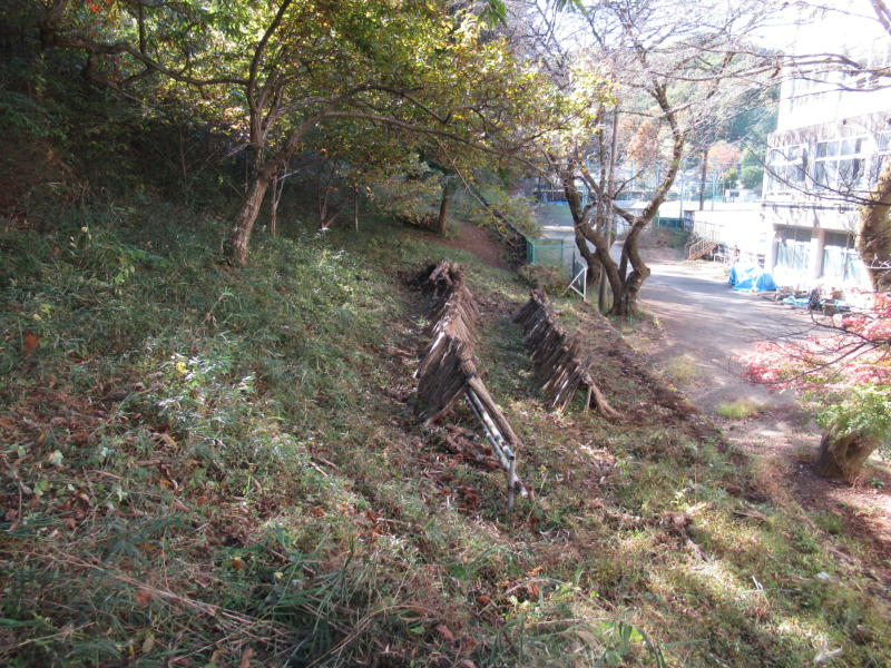 f:id:itablog:20201110123251j:plain