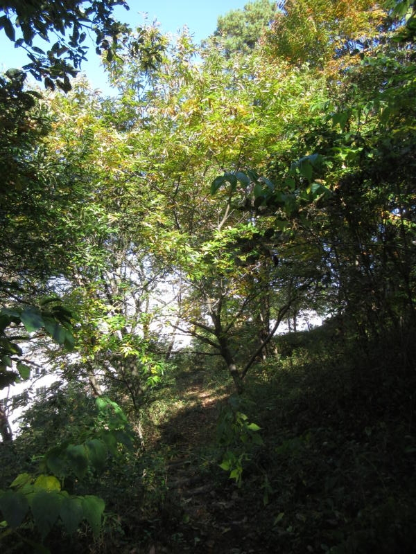 f:id:itablog:20201110124009j:plain