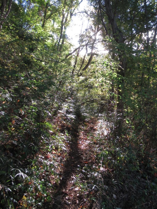 f:id:itablog:20201110131305j:plain