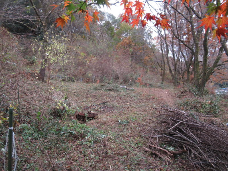 f:id:itablog:20201124131323j:plain