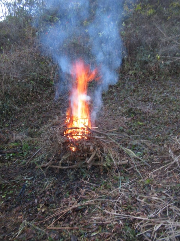 f:id:itablog:20201208095424j:plain