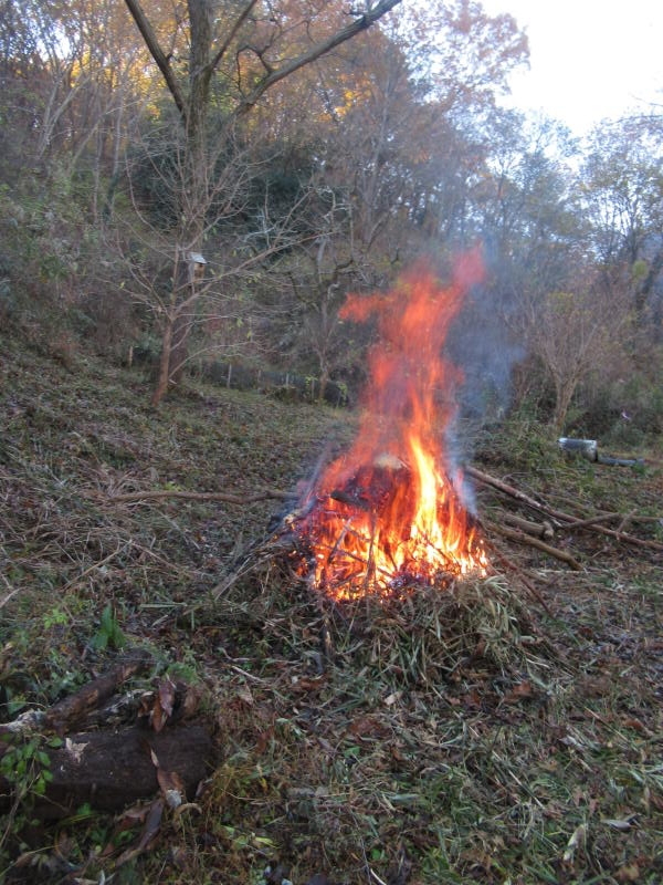 f:id:itablog:20201208100618j:plain