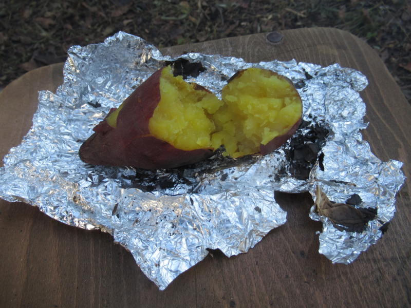 f:id:itablog:20201208120639j:plain