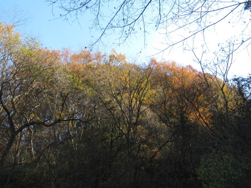 f:id:itablog:20201208125751j:plain