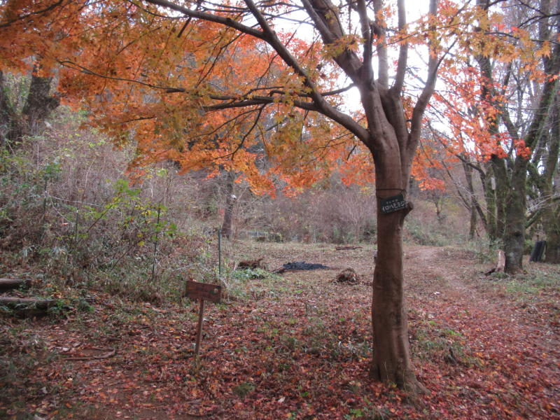 f:id:itablog:20201208132653j:plain