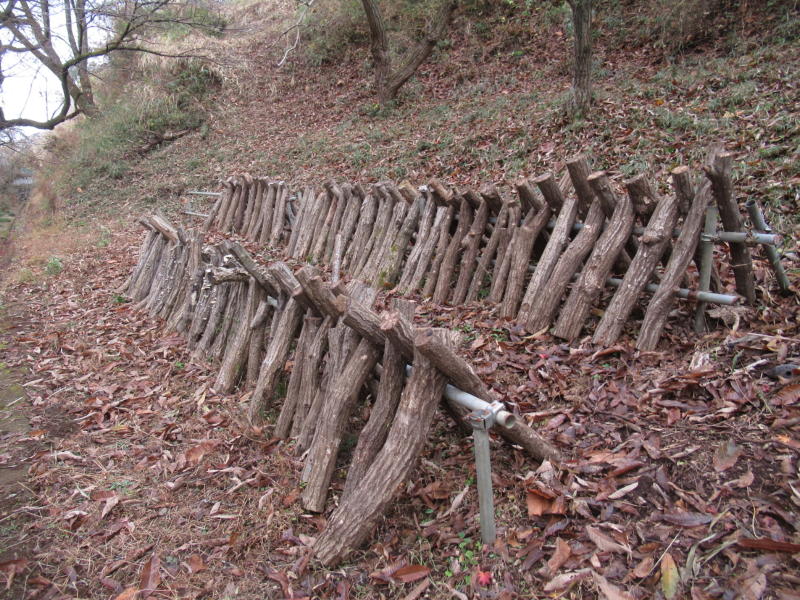 f:id:itablog:20201208132712j:plain