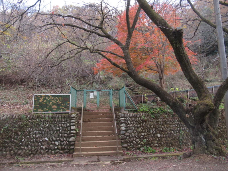 f:id:itablog:20201208132846j:plain