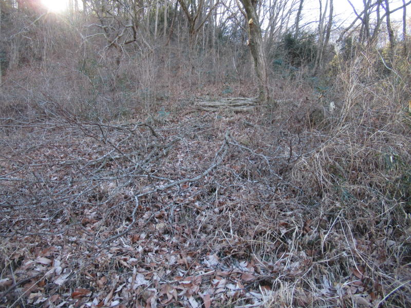 f:id:itablog:20210209093428j:plain