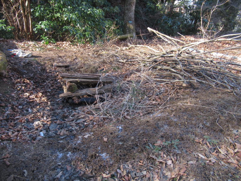 f:id:itablog:20210209102104j:plain