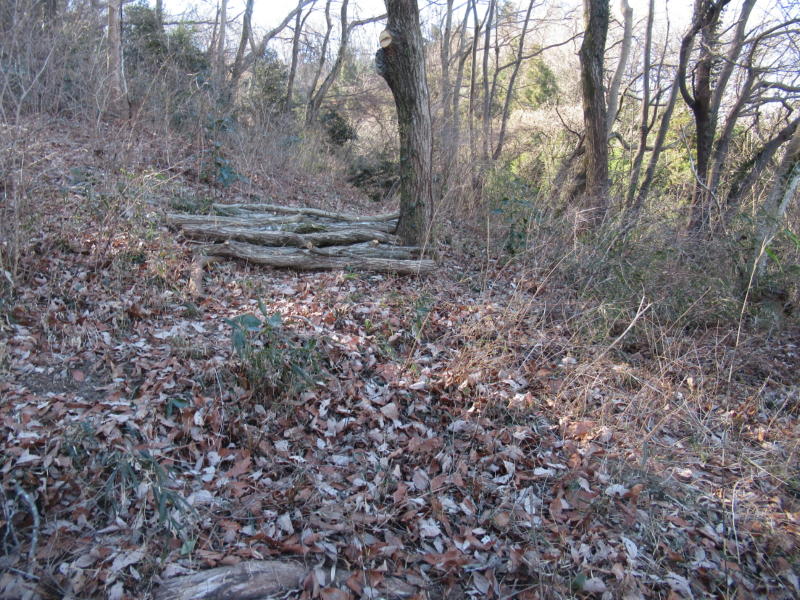 f:id:itablog:20210209103409j:plain