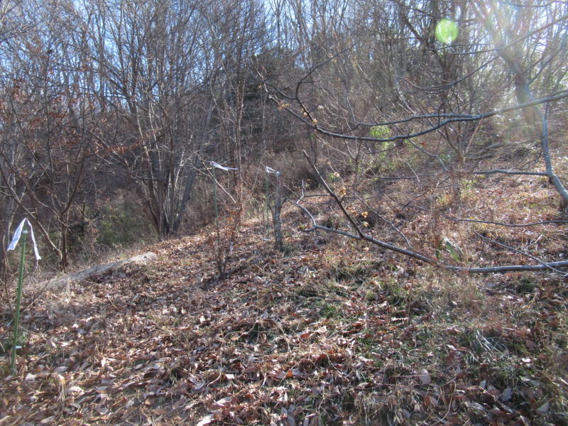 f:id:itablog:20210209121755j:plain