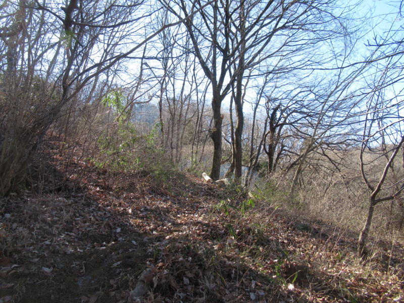 f:id:itablog:20210209121827j:plain