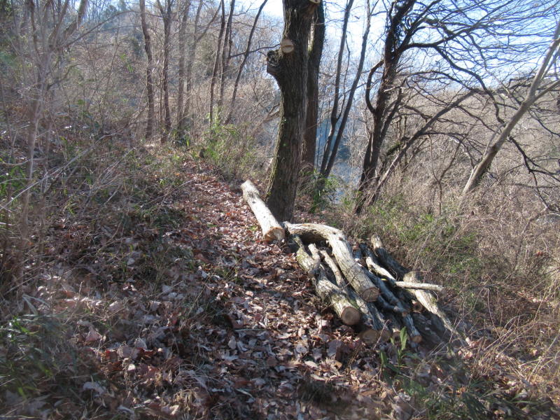 f:id:itablog:20210209121841j:plain