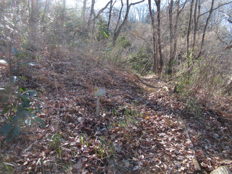 f:id:itablog:20210209121849j:plain