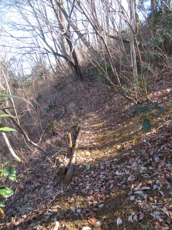 f:id:itablog:20210209121956j:plain