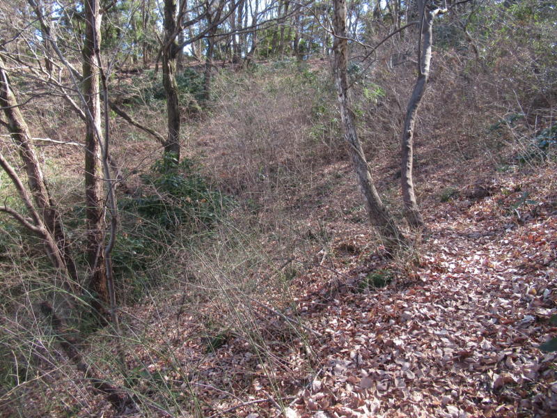 f:id:itablog:20210209122147j:plain