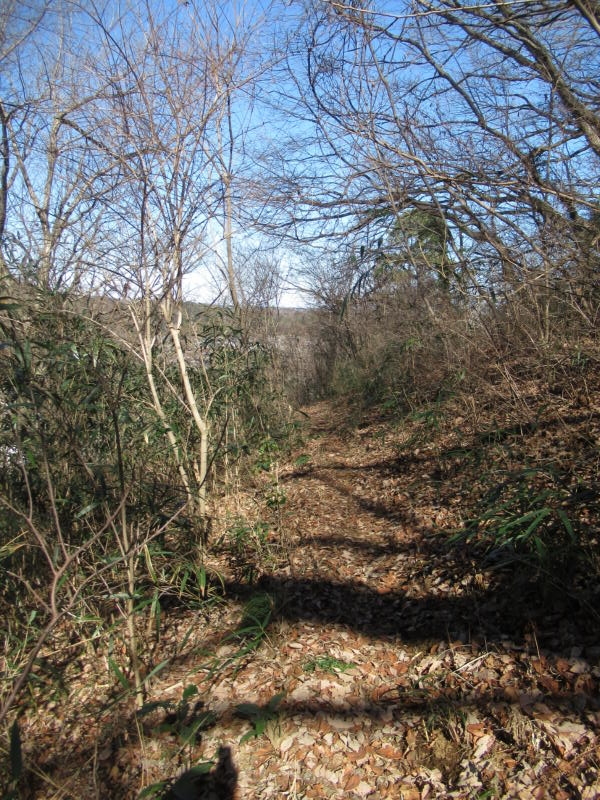 f:id:itablog:20210209122241j:plain