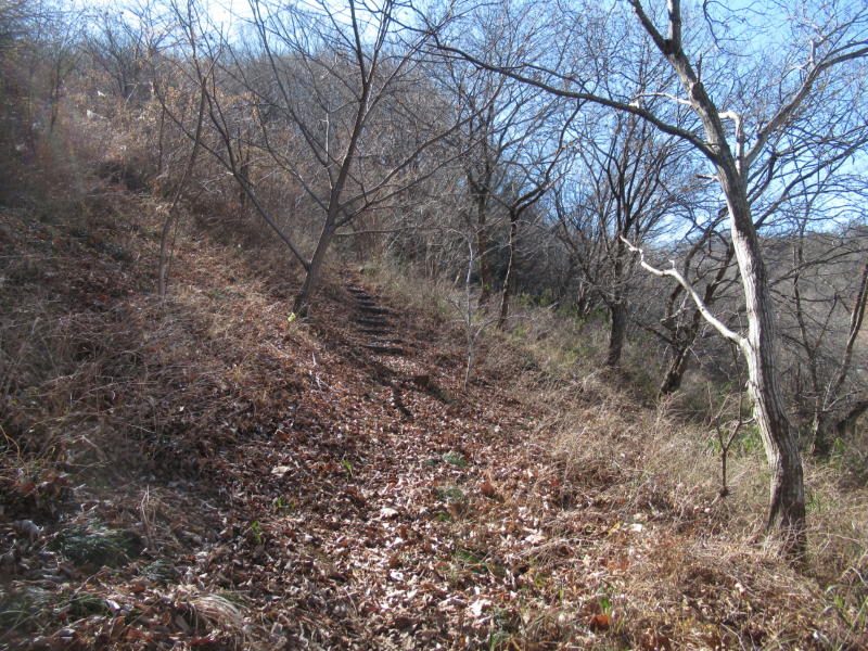 f:id:itablog:20210209122636j:plain