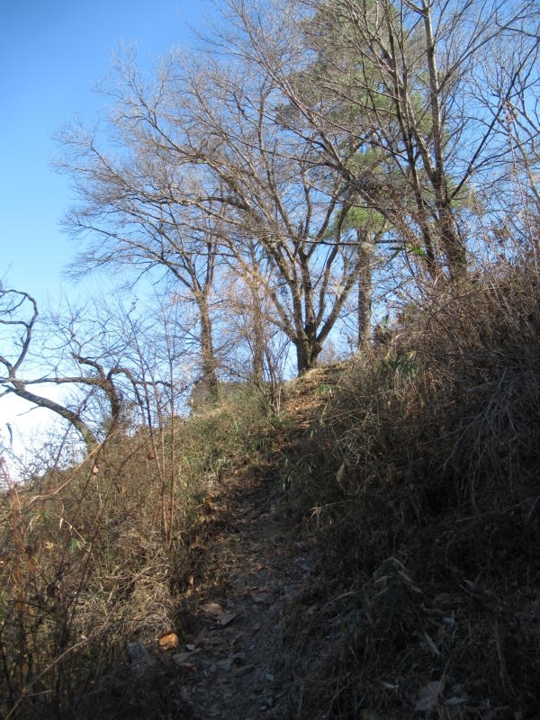 f:id:itablog:20210209122808j:plain