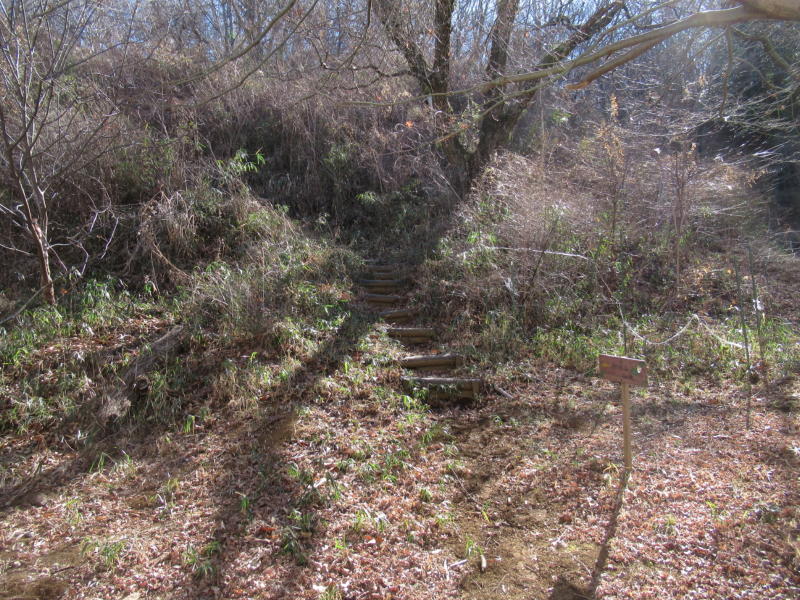 f:id:itablog:20210209122926j:plain