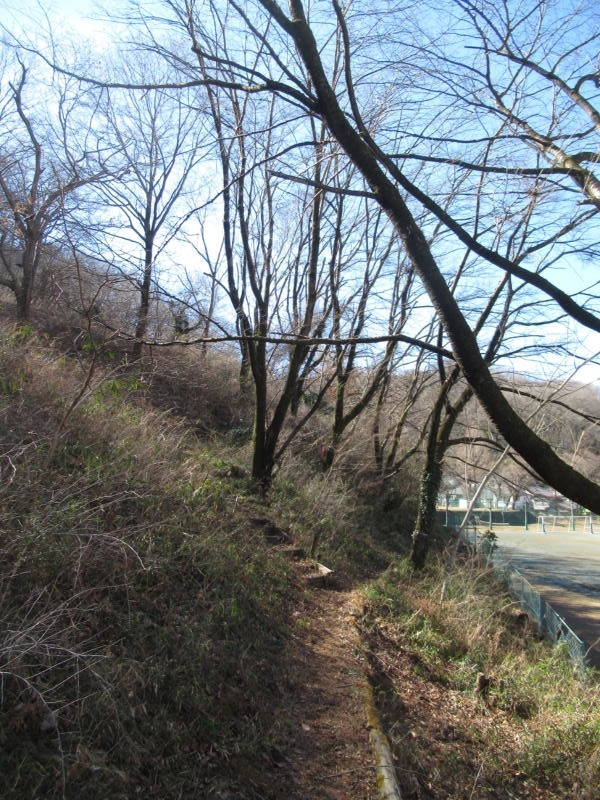 f:id:itablog:20210209123110j:plain