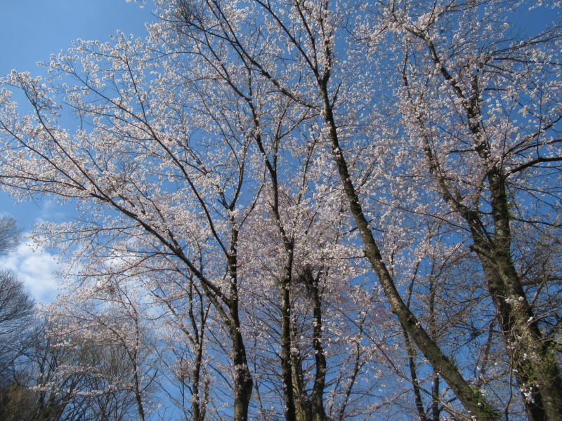 f:id:itablog:20210323094142j:plain