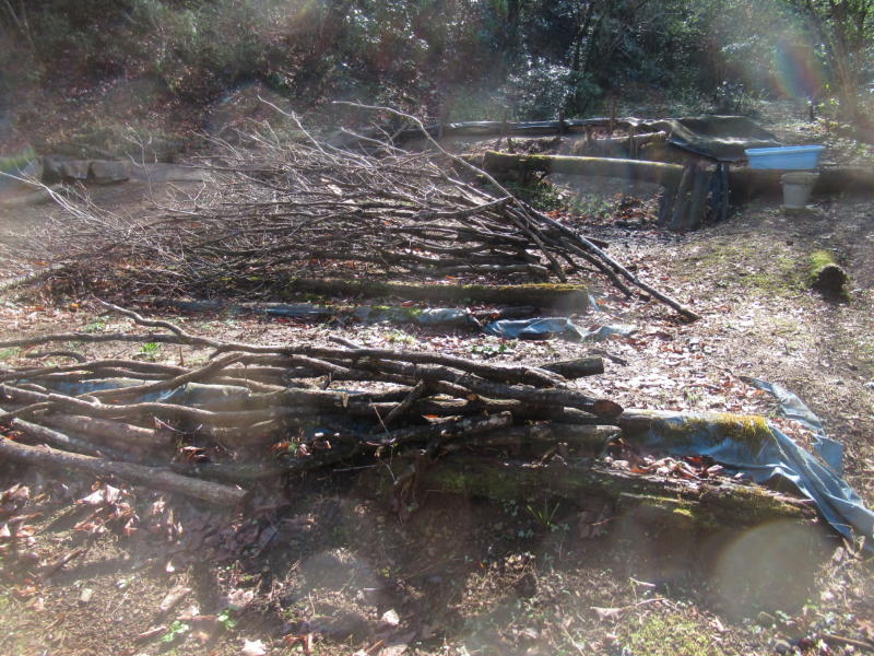 f:id:itablog:20210323094336j:plain