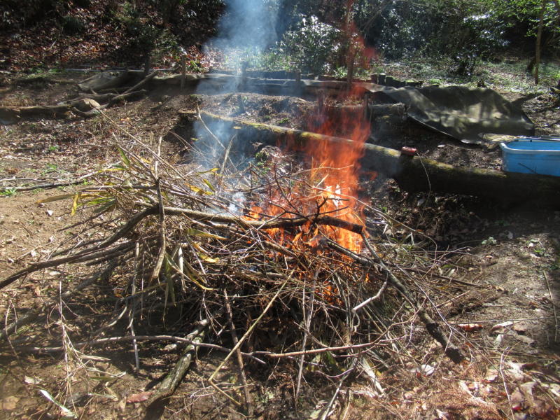 f:id:itablog:20210323102853j:plain