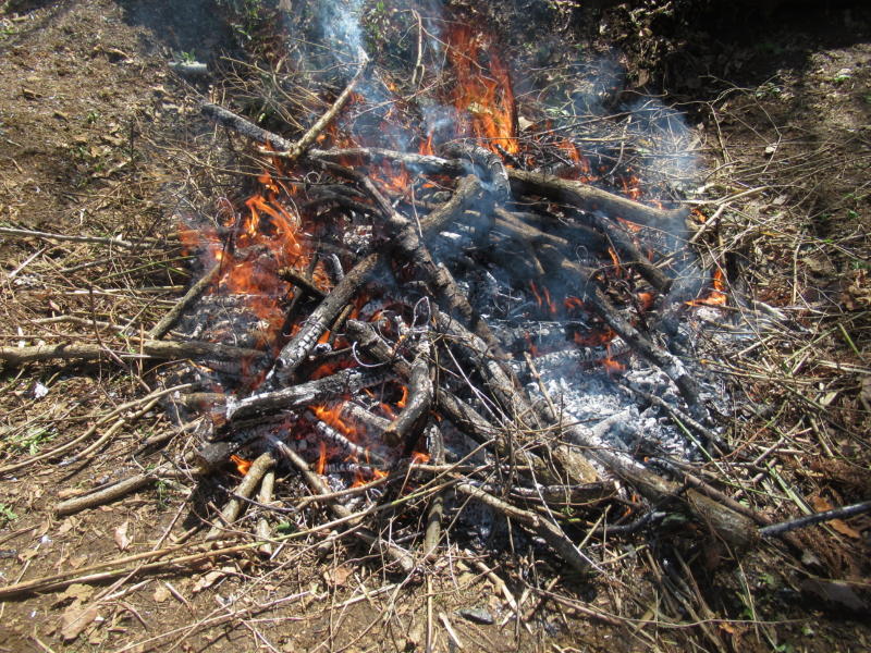 f:id:itablog:20210323110220j:plain